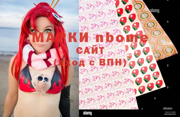 стаф Беломорск