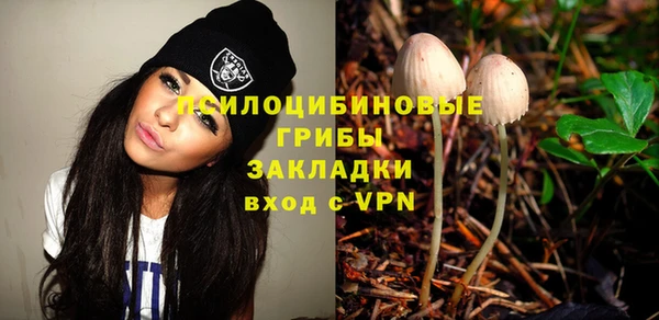 стаф Беломорск