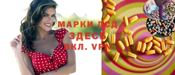 стаф Беломорск